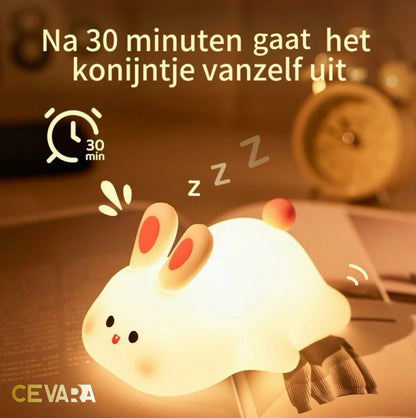 Schattige Dieren Nachtlampje (USB-oplaadbaar LED)